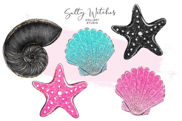 Download Hand Drawn Shells, Sea Star, Glitter - Hand drawn Collection